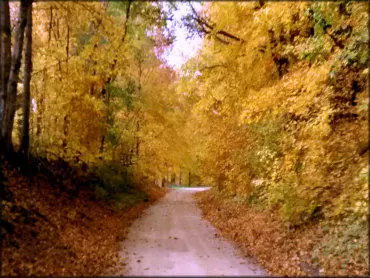 Lafayette County Fall Road